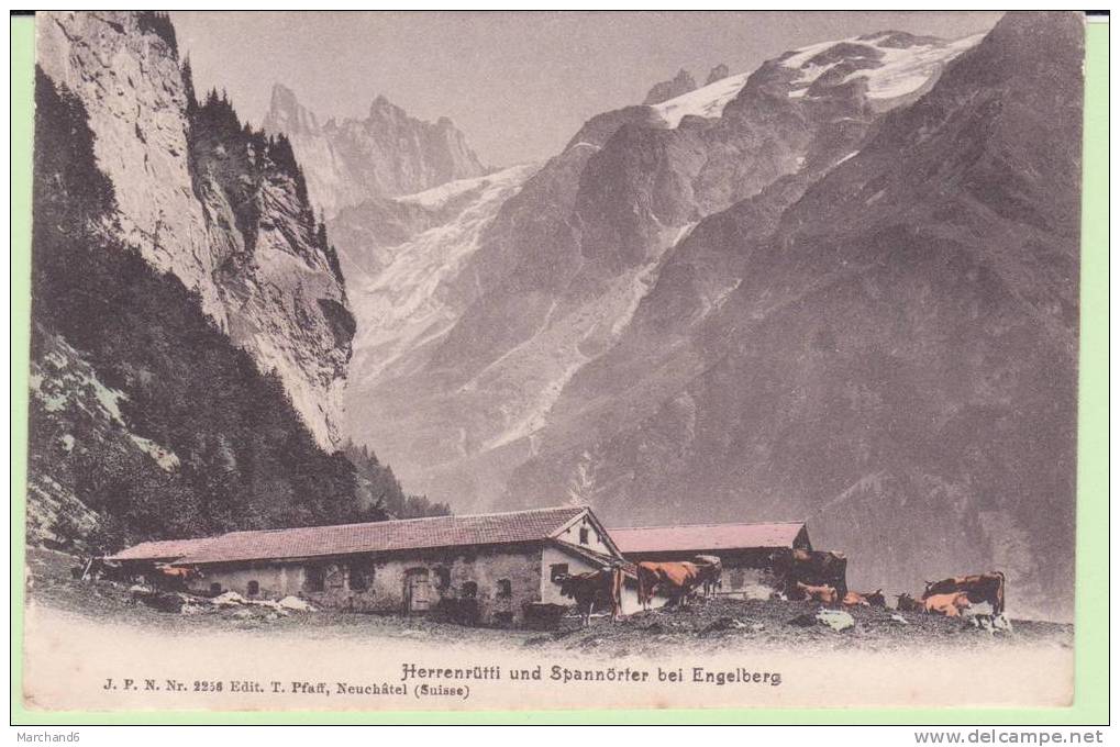 SUISSE.ENGELBERG.HERRENRUTTI UND SPANNORTER BEI - Engelberg