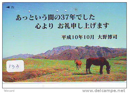 CHEVAL PFERD REITEN Horse Paard Caballo (133) - Paarden
