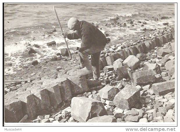 REPRODUCTION - STEENZETTER AAN HET WERK OP DE AFLSUITDIJK 29 JUNI 1932 - Den Oever (& Afsluitdijk)