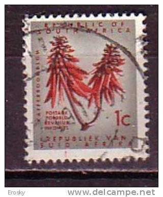 D0152 - AFRIQUE DU SUD SOUTH AFRICA Yv N°249 - Used Stamps