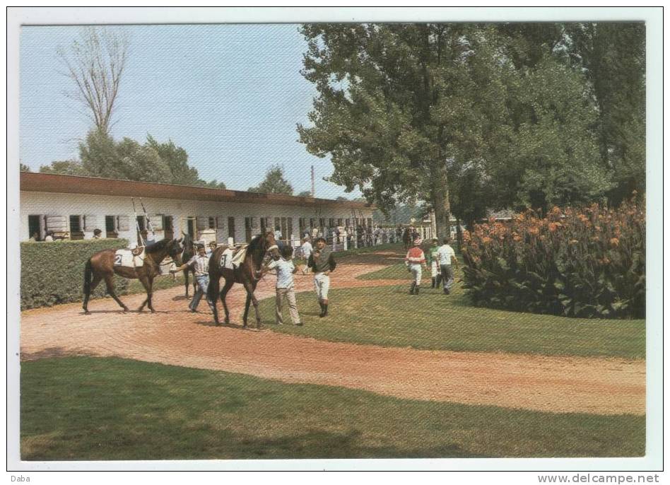 BEAUMONT DE LOMAGNE.. 82. VUE DU PADDOCK. - Beaumont De Lomagne