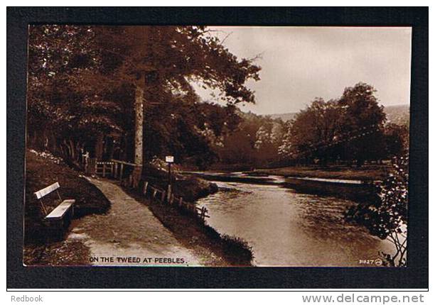 Real Photo Postcard On The Tweed At Peebles Peeblesshire Scotland Notice Board & Bench Seat - Ref 250 - Peeblesshire