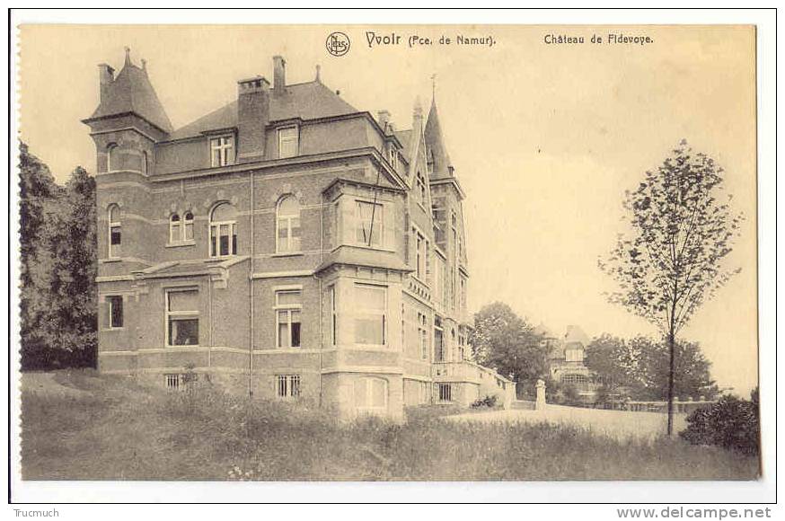 C8195 - Yvoir - Chateau De Fidevoye - Yvoir