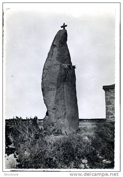 Cpsm BRIDOGNAN Le Menhir - N°27 Cim - Brignogan-Plage