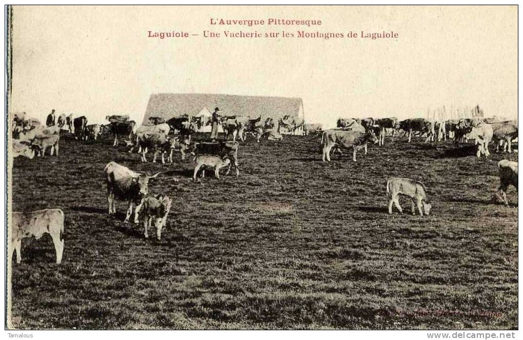 12 - LAGUIOLE - Une VACHERIE Sur Les MONTAGNES - - Laguiole