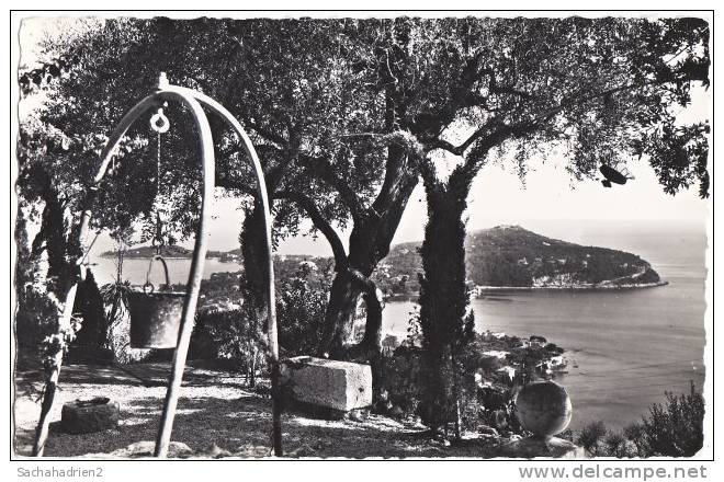 06. Cpsm. SAINT-JEAN-CAP-FERRAT. Vue Sur Le Cap-Ferrat. 48 - Saint-Jean-Cap-Ferrat