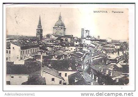 14450)cartolina Illustratoria  Mantova - Panorama - Mantova