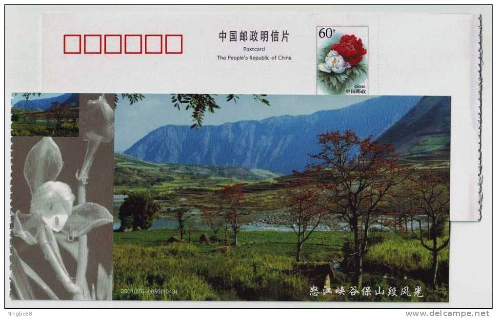 Offical City Flower Baoshan Orchid,China 2001 Baoshan Landscape Advertising Postal Stationery Card #1 - Orchids