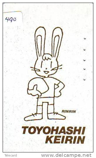 LAPIN Rabbit KONIJN Kaninchen Conejo (490) - Conejos