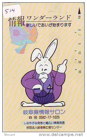 LAPIN Rabbit KONIJN Kaninchen Conejo (514) - Conejos
