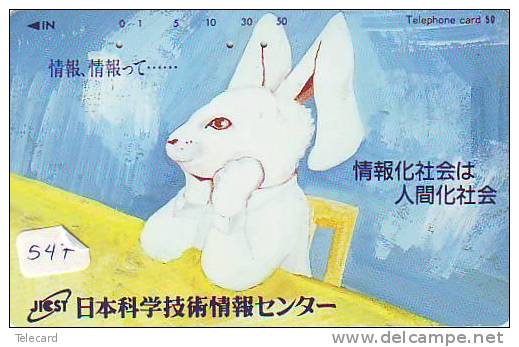 LAPIN Rabbit KONIJN Kaninchen Conejo (547) - Conejos
