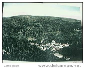 ALLEMAGNE - GERMANY - St. Blasien - General View S1983 BM13239 - St. Blasien