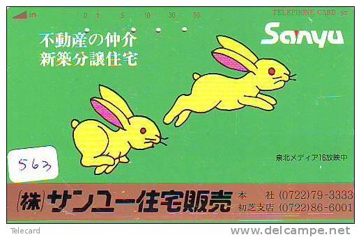 LAPIN Rabbit KONIJN Kaninchen Conejo (563) - Conejos