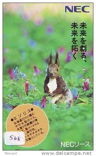 LAPIN Rabbit KONIJN Kaninchen Conejo (568) - Conejos