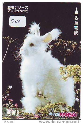 LAPIN Rabbit KONIJN Kaninchen Conejo (580) - Conejos