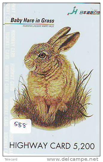 LAPIN Rabbit KONIJN Kaninchen Conejo (588) - Lapins
