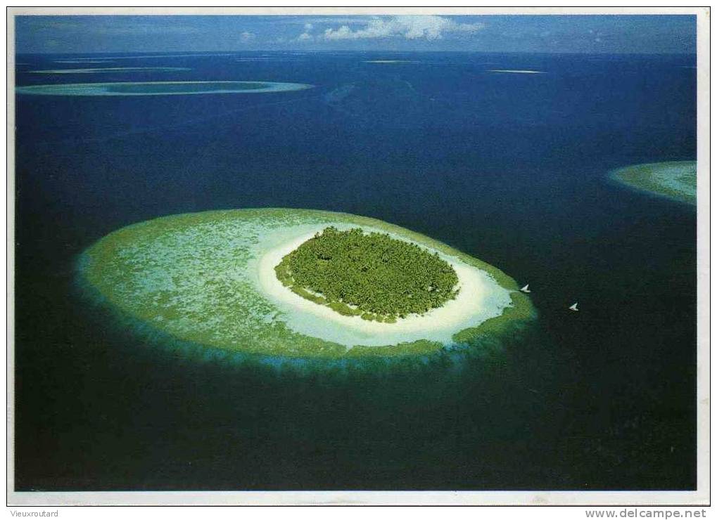 CPSM.  MALDIVES ATOLL. DATEE 1978. - Maldives