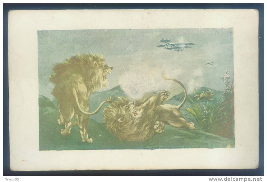 Hunting - Lion Hunting (Plane Spray), Japan Boy Scout Vintage Postcard - Scouting
