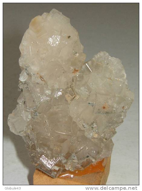 FLUORINE INCOLORE  7 X 4,5 Cm  FONTSANTE - Minerales