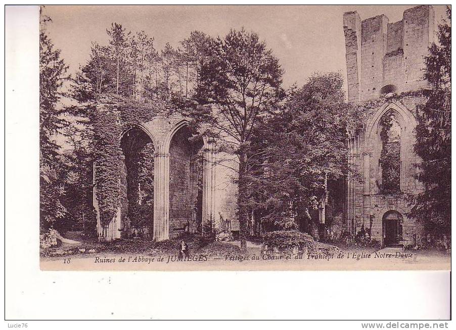 JUMIEGES  -   Abbaye  Ruines - Vestiges Du Choeur Et Du Transept  De L´Eglise Notre Dame  - N° 18 - Jumieges