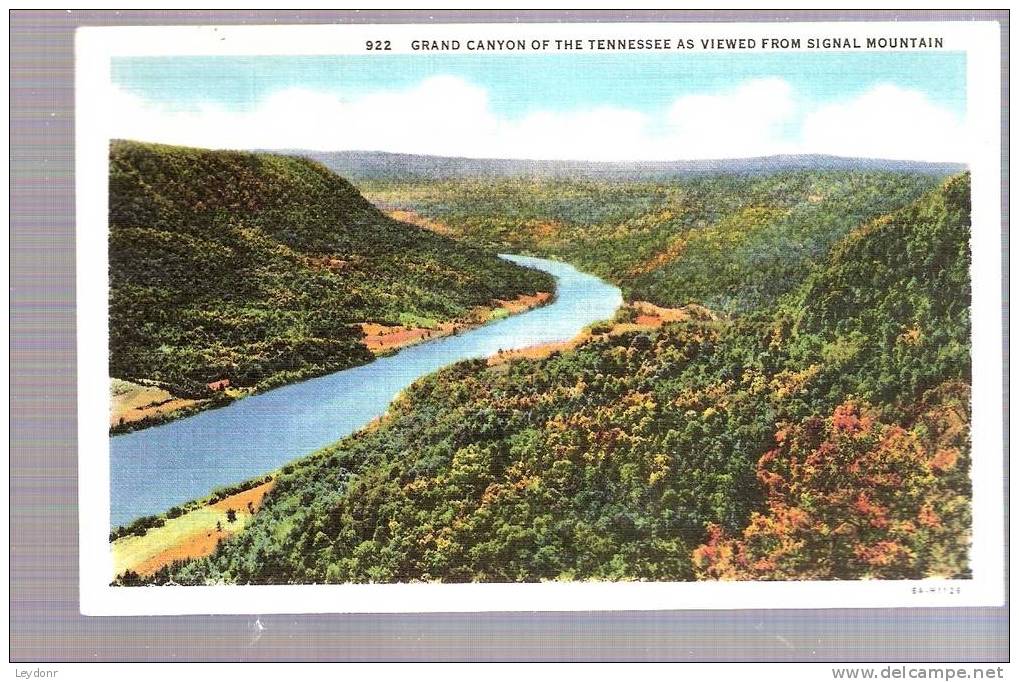 Grand Canyon Of The Tennessee As Viewed From Signal Mountain - Altri & Non Classificati