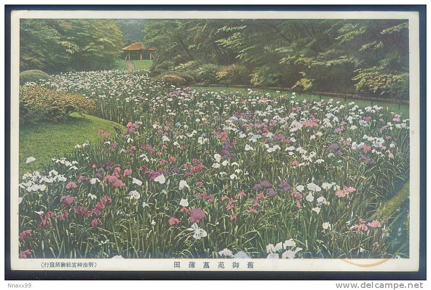 Japan - Calamus Pond At Old Imperial Place Of Meiji Jingu, Vintage Postcard - Tokyo