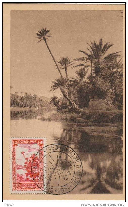 Algérie Algeria Oasis Colomb Bechar Carte Maximum Du 31 5 52 Maxicard Maxikarten Palmiers - Maximumkarten