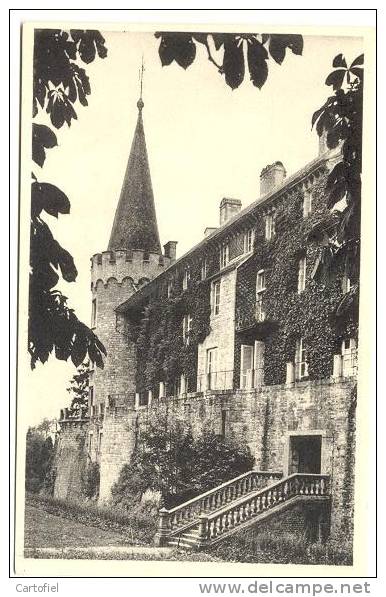 FLORENNES- CHATEAU  VUE DE L'ALLEE DES MARRONNIERS -KASTEEL - Florennes