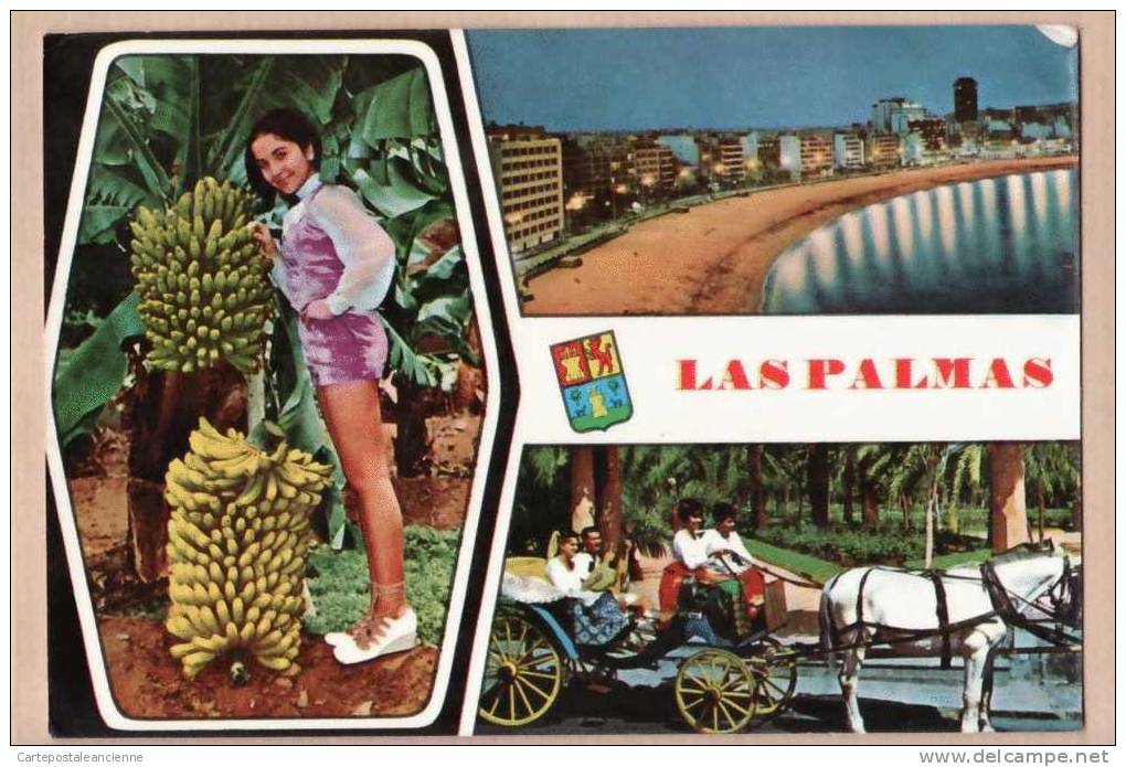 LAS PALMAS  GRAN CANARIA Régime Banane Jeune Fille MULTIVIEWS 1974 ILES CANARIES¤ GLOBAL TRADER 1.162¤ ¤6793A - La Palma