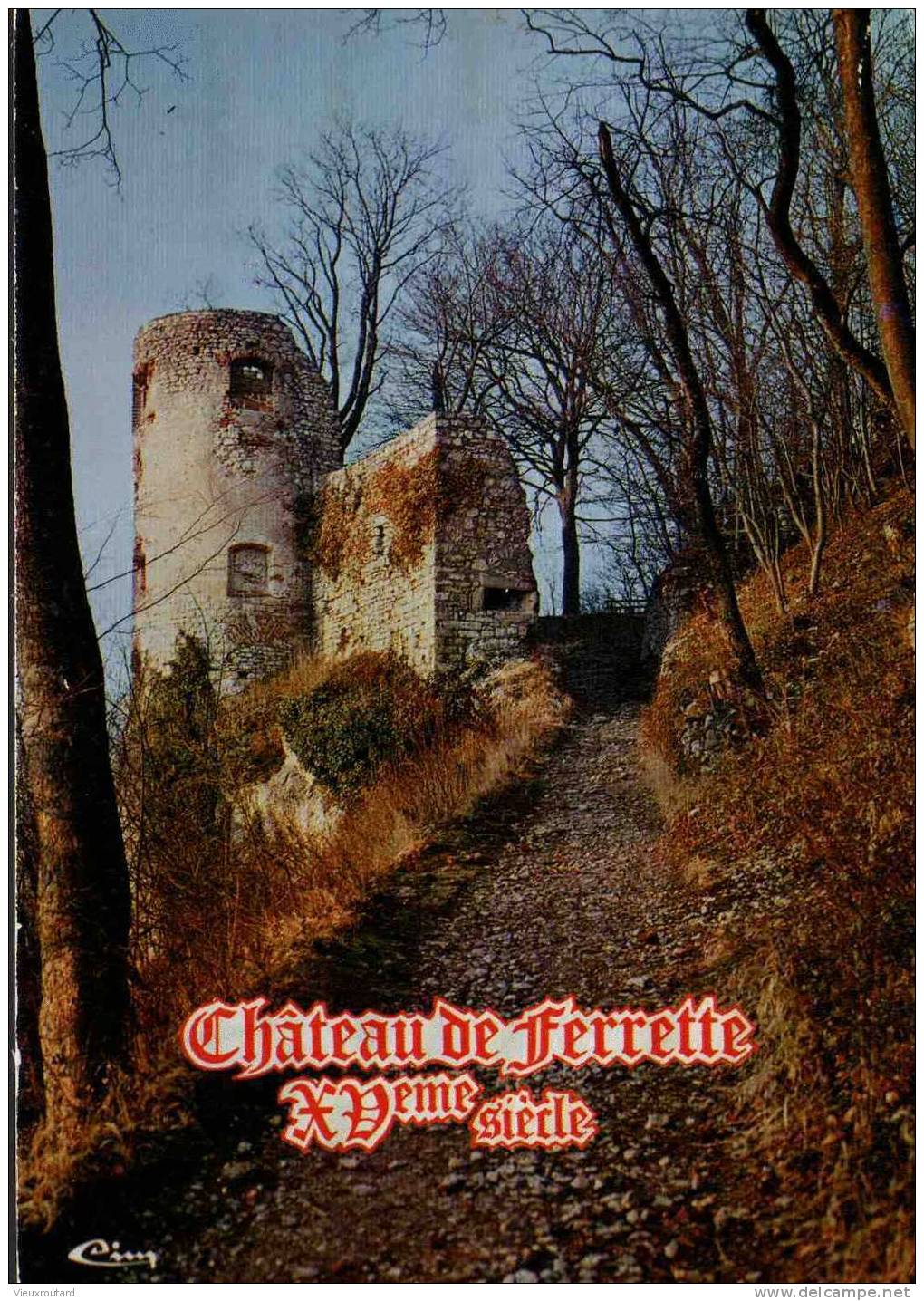 CPSM.  FERRETTE. LE SUNDGAU. JURA ALSACIEN. LES RUINES DU CHATEAU DE FERETTE. DATEE 1976. - Ferrette