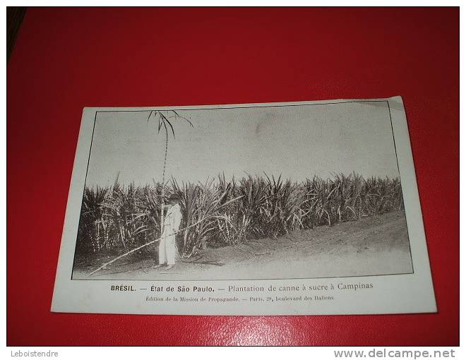 CPA-BRESIL-ETAT DE SAO PAULO-PLANTATION DE CANNE A SUCRE A CAMPINAS -ANIMEE-CARTE EN MOYEN ETAT-PHOTO RECTO /VERSO - São Paulo