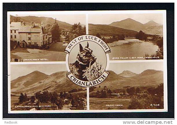 Real Photo Multiview Postcard Scottie Dog At Crianlarich Scotland - Hotel & River - Ref 254 - Dogs