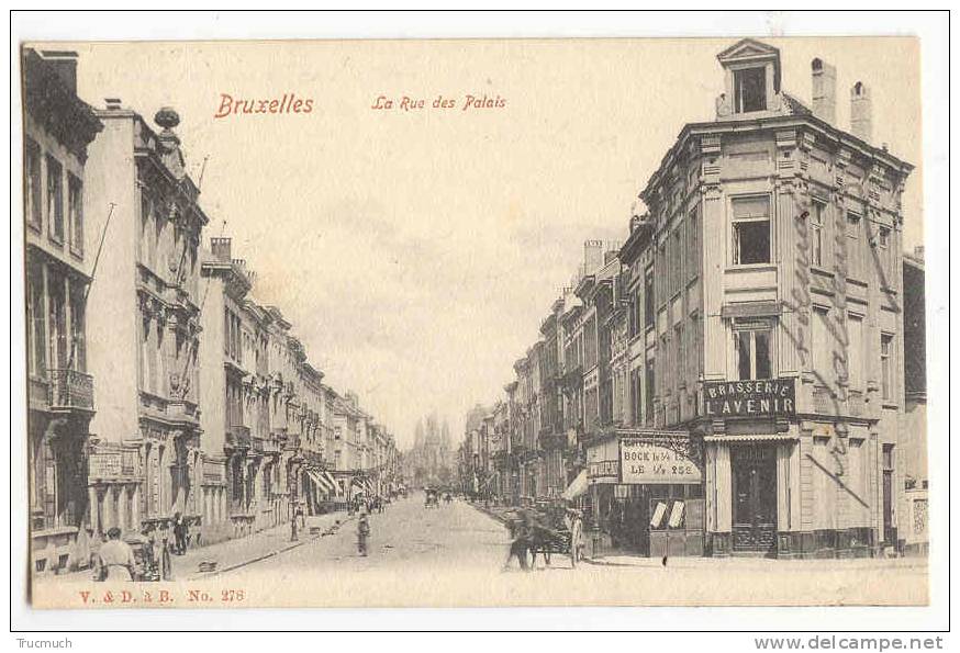 C6555 - Bruxelles, La Rue Des Palais - Avenues, Boulevards