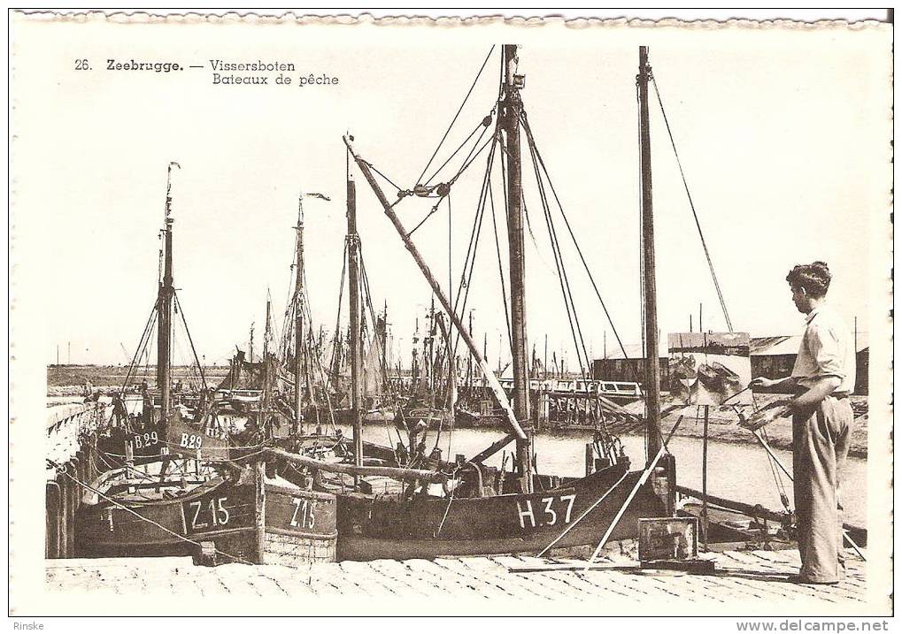 Zeebrugge - Vissersboten En Schilder - Zeebrugge
