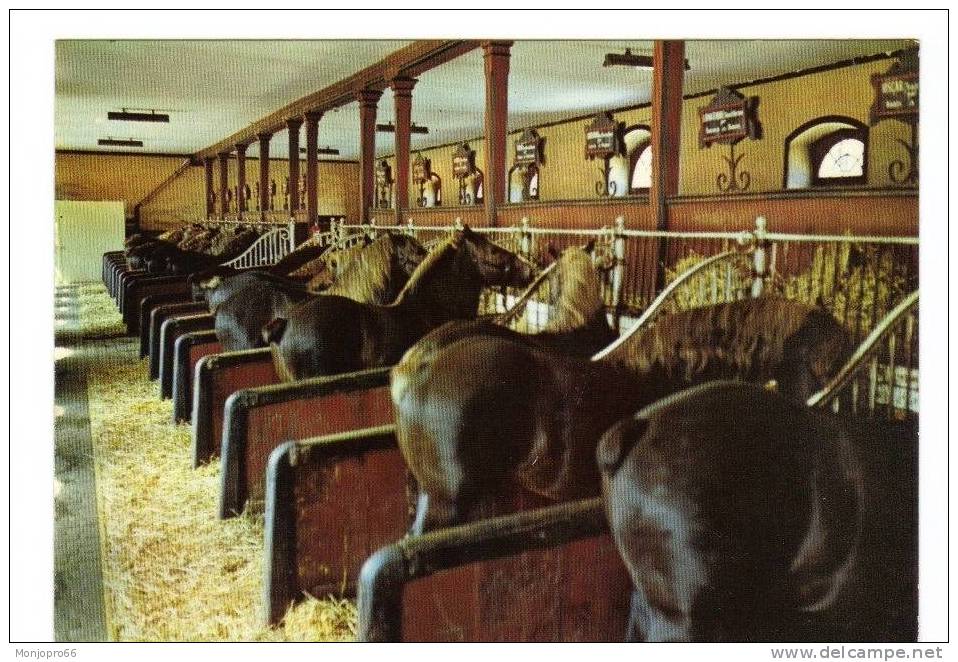 CPM De Lamballe   Une écurie De Postier Bretons - Lamballe