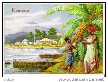 DTP KAMERUN 012 / 2. Farbkarte Von Victoria ** - Kamerun