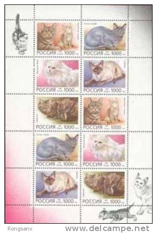 1996 RUSSIA PET CAT SHEETLET - Blocs & Feuillets