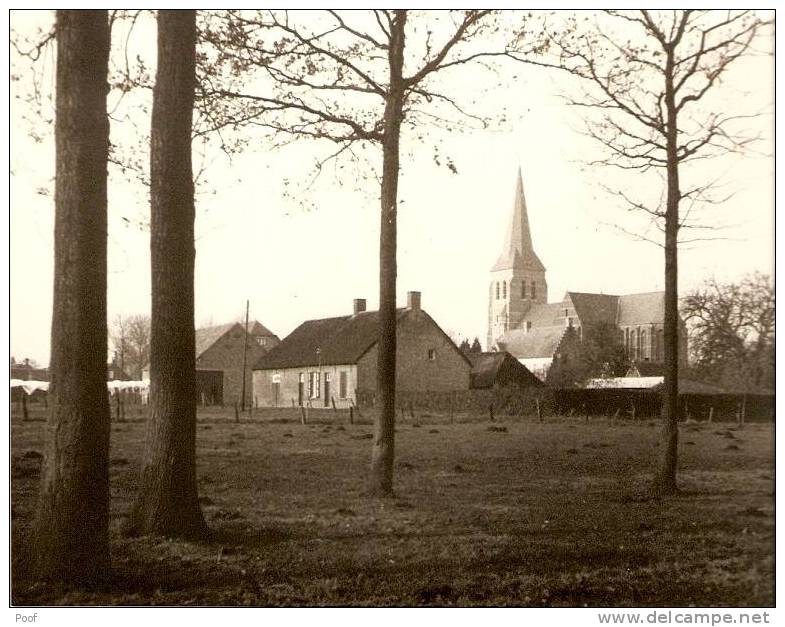 Kalmthout : Foto's Getrokken Door De Fotografen Janssens En Severin--4 Foto's.( Zeldzaam) - Kalmthout