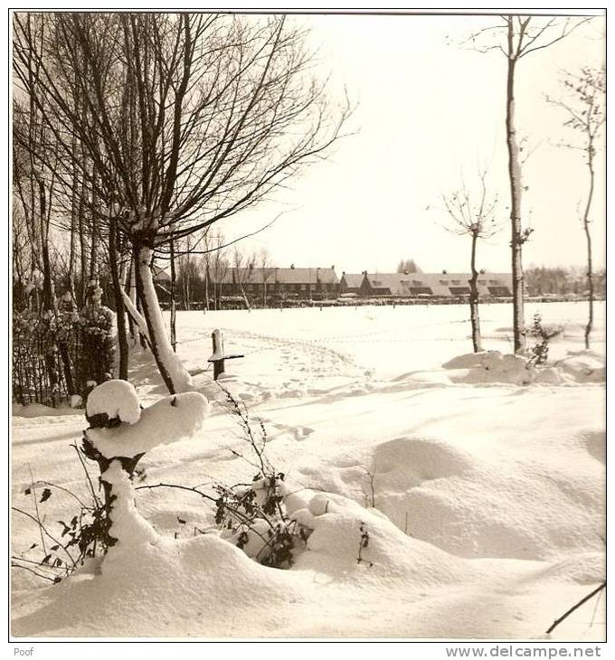 Kalmthout : Foto's Getrokken Door De Fotografen Janssens En Severin--4 Foto's.( Zeldzaam) - Kalmthout