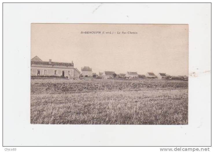 37.16  Indre Et Loire  /  SAINT GENOUPH  /  Le Bas  Chemin - Autres & Non Classés