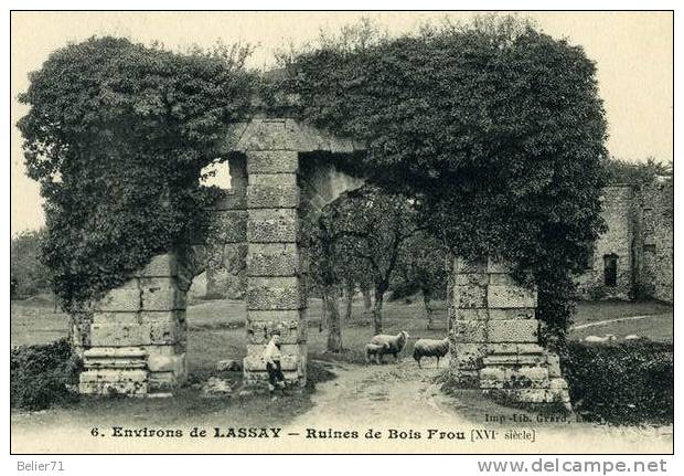 53 / Lassay. Ruines De Bois Frou - Lassay Les Chateaux