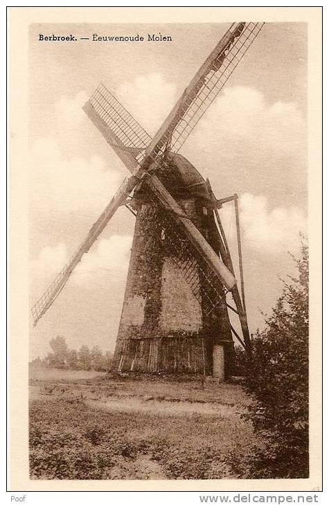 Berbroek ( Herk De Stad): Molen - Herk-de-Stad