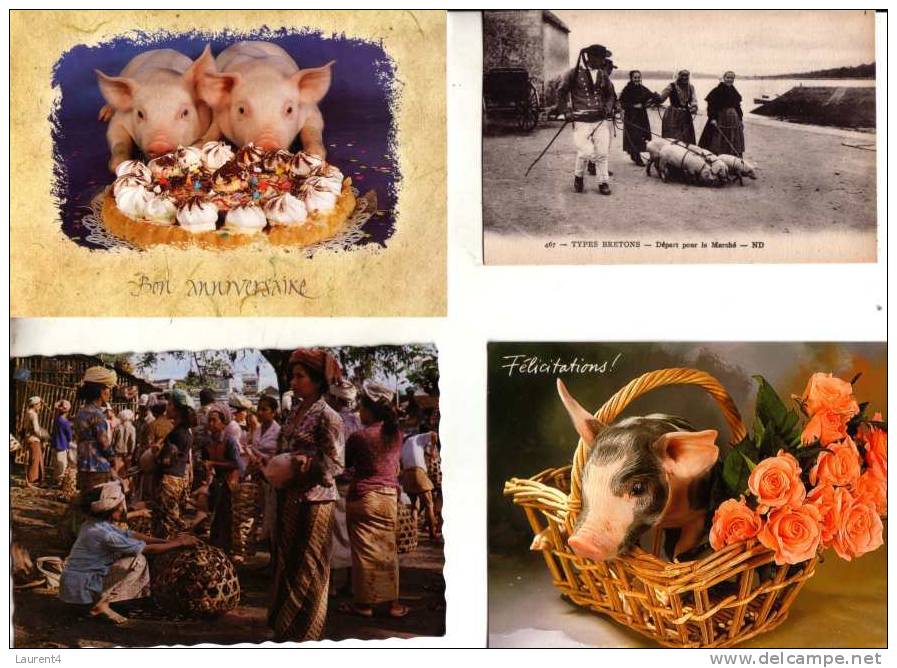 5 Pigs Postcards - 5 Carte De Cochons - Pigs