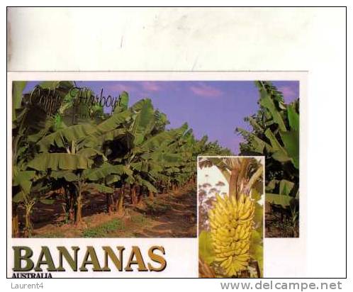 5 Bananas  Postcards - 5 Carte Sur Les Bananes - Culturas