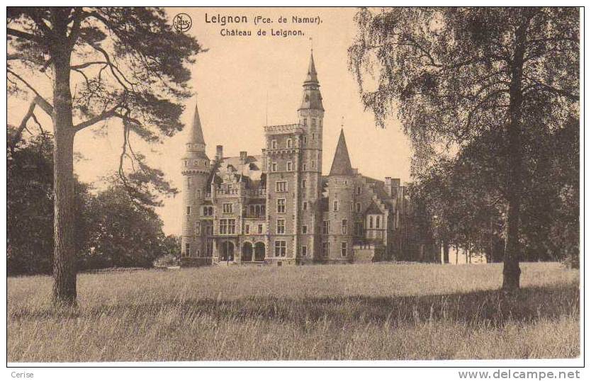 LEIGNON - Château De Leignon. - Ciney