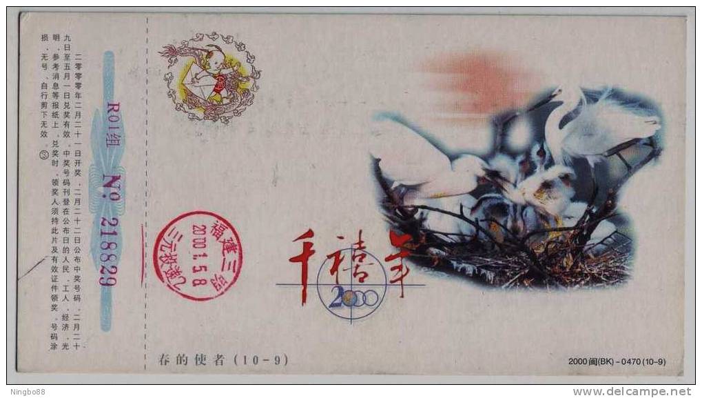 Spring Emissary,egret Bird,China 2000 New Millennium Advertising Pre-stamped Card - Cigognes & échassiers