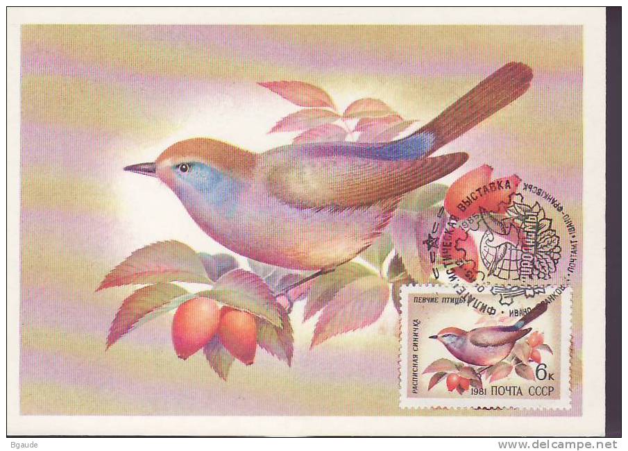 RUSSIE CARTE MAXIMUM NUM.YVERT 4838 FAUNE OISEAUX - Cartes Maximum