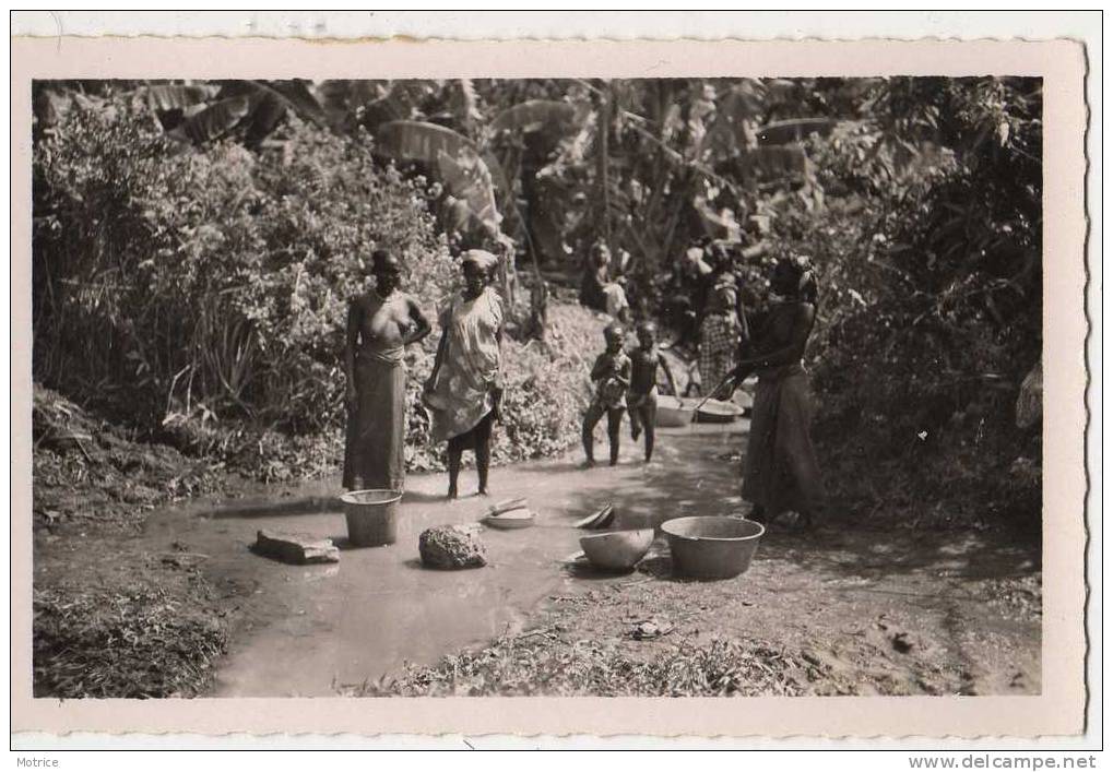 GUINEE FRANCAISE  -   Kindia, Ebats Dans Le Marigot,la Vaisselle. - Guinée Française