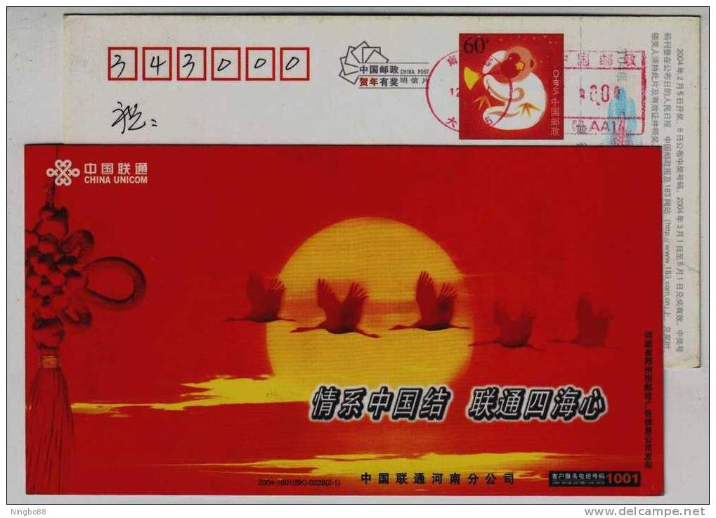 Red-crowned Crane,th Setting Sun,China 2004 China Unicom Henan Branch Advertising Postal Stationery Card - Cranes And Other Gruiformes