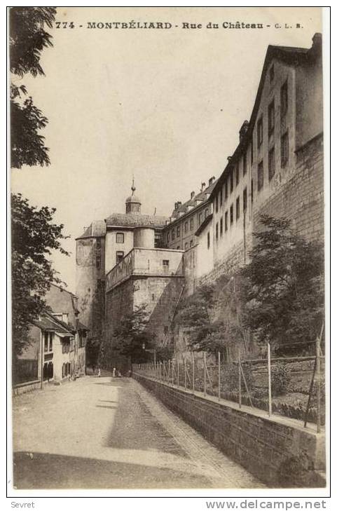 MONTBELIARD. - Rue Du Château. - Montbéliard